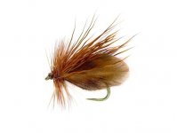 Caddis Andrzejs Polish