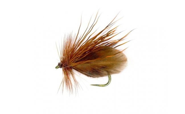 Caddis Andrzejs Polish Caddis Andrzejs Polish, Size 12