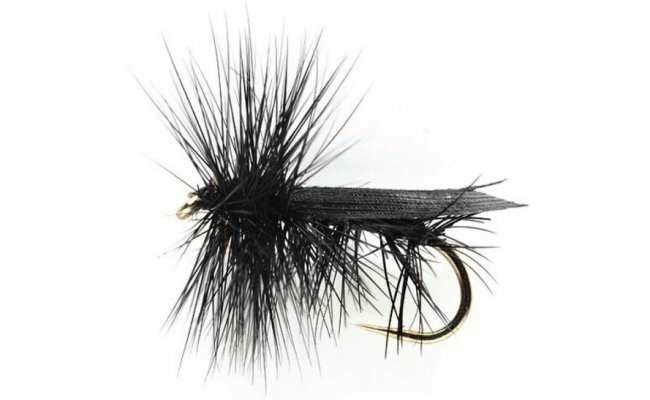 Caddis Black Caddis Black, Size 10