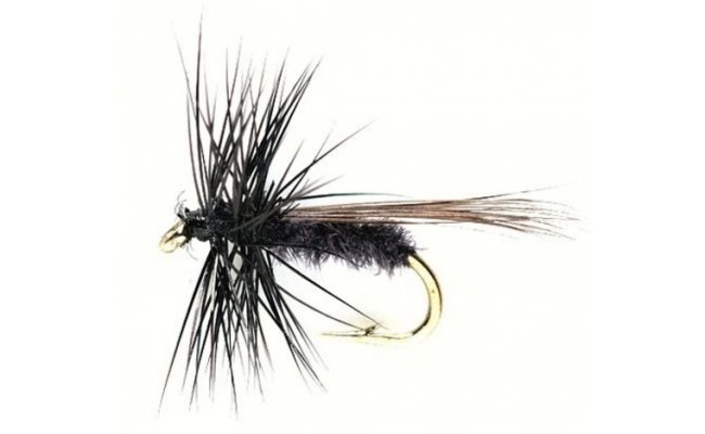 Caddis Mini Black Caddis Mini Black, Size 18