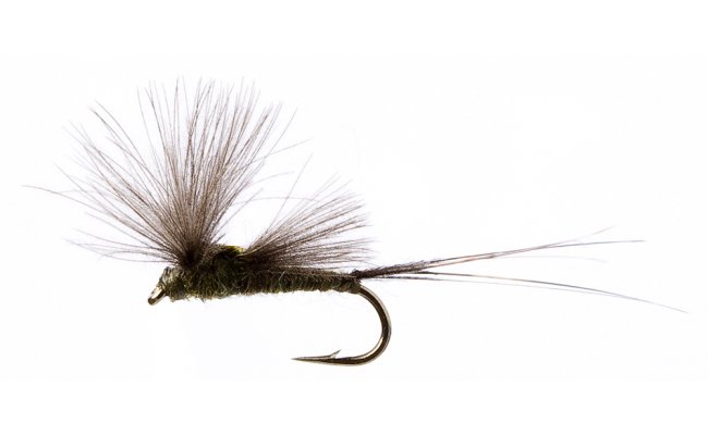 CDC BWO CDC BWO, Size 16