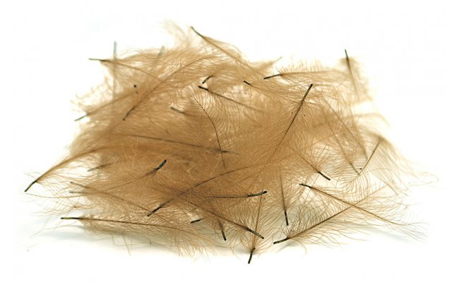 CDC Feathers Veniard Super Select CDC Feathers Veniard Super Select Natural Grey