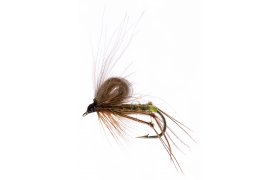 CDC Hopper Olive CDC Hopper Olive , Size 12