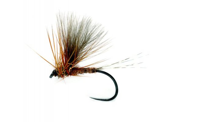 CDC March Brown CDC March Brown, Size 15