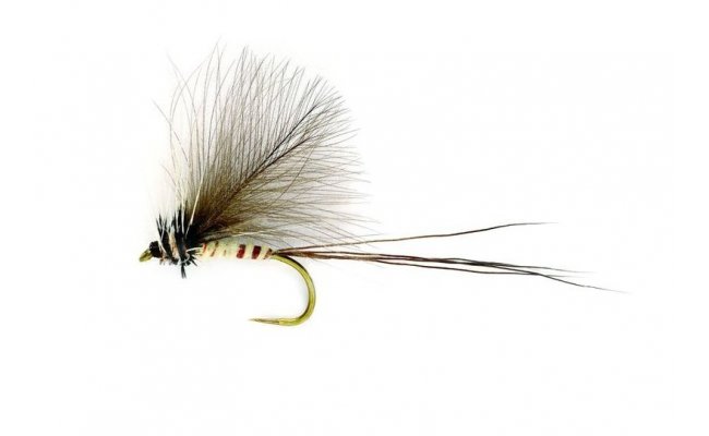 CDC Mayfly Dun CDC Mayfly Dun, Size 10