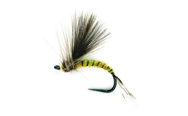 CDC Olive Emerger CDC Olive Emerger, Size 20