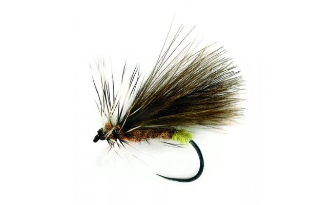 Championship Caddis Championship Caddis, Size 13