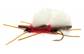 Chubby Royal Raspberry Chubby Royal Raspberry, Size 6