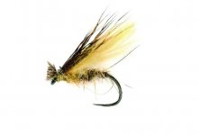 Cinnamon Championship Caddis