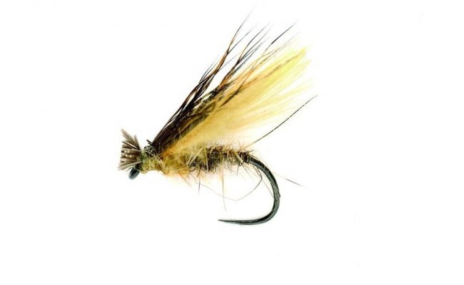 Cinnamon Championschip Caddis Cinnamon Championschip Caddis, Size 13