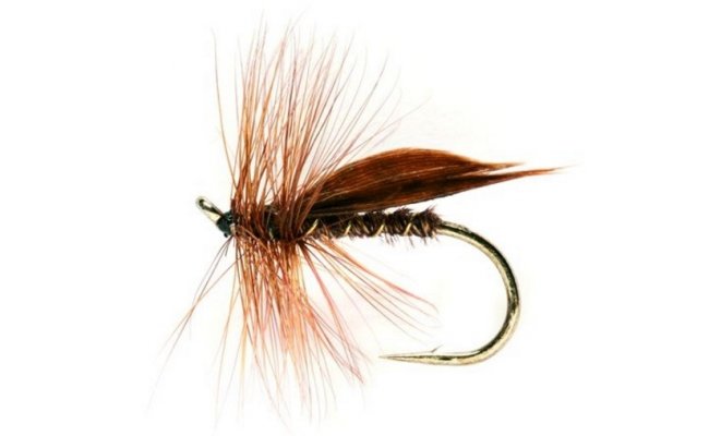 Cinnamon Sedge Cinnamon Sedge, Size 10