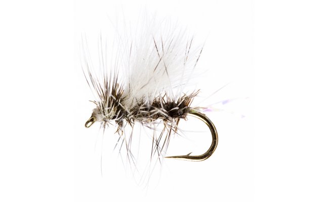 CJ Sparkle Gnat CJ Sparkle Gnat, Size 16