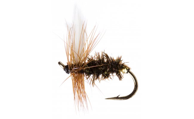 Coachman Coachman, Size 16