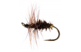 Coch-Y-Bondhu Coch-Y-Bondhu, Size 16