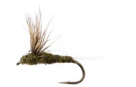 Compara Dun Olive Compara Dun Olive, Size 16