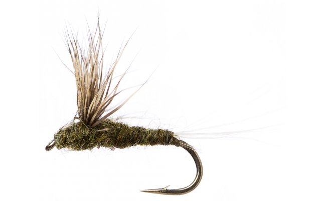 Compara Dun Olive Compara Dun Olive, Size 16