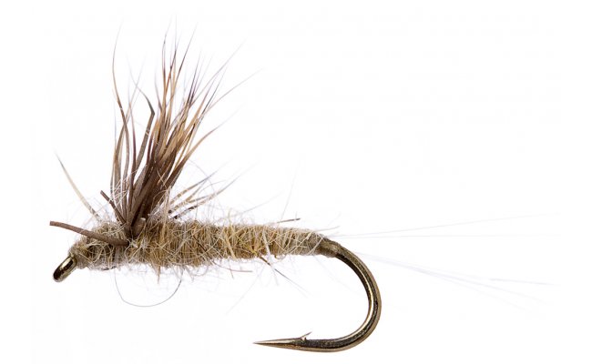 Compara Dun Tan Compara Dun Tan, Size 16