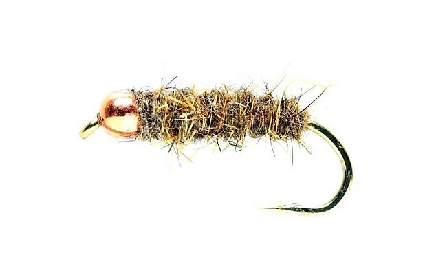 Cooper Head Copper Head, Size 14