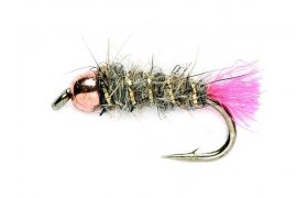 Copperknob (Goddard) Copperknob (Goddard), Size 12