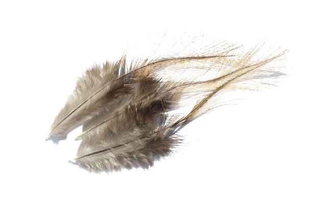 Coq de Leon Feathers Tommi-Fly  Coq de Leon Feathers Tommi-Fly Natural