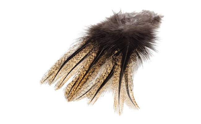 Coq De Leon Feathers Veniard Coq De Leon Feathers Veniard Blue Dun