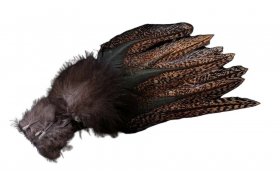 Coq de Leon Pardo Anchondado Medium Mottled � Limit Serie (PAMM) Coq de Leon Pardo Anchondado Medium Mottled � Limit Serie (PAMM)