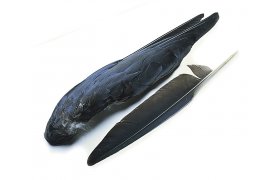 Crow Whole Wings Veniard Crow Whole Wings Veniard