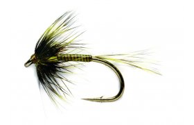 Cruncher Olive Traffic Light Cruncher Olive Traffic Light, Size 10