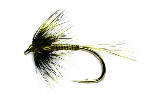 Cruncher Olive Traffic Light Cruncher Olive Traffic Light, Size 10