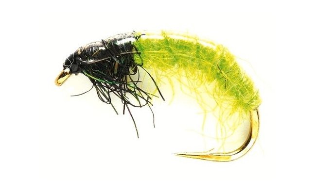 Czech Grub Glister Green Czech Grub Glister Green, Size 10