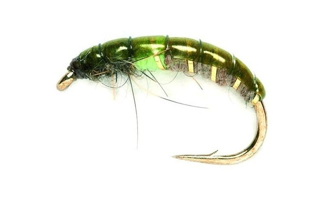 Czech Mate Green Pea Czech Mate Green Pea, Size 10