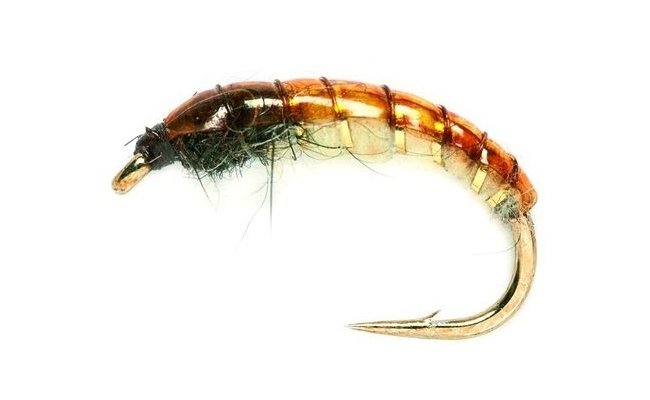 Czech Mate Hare's Ear & Cream Czech Mate Hare's Ear & Cream, Size 10