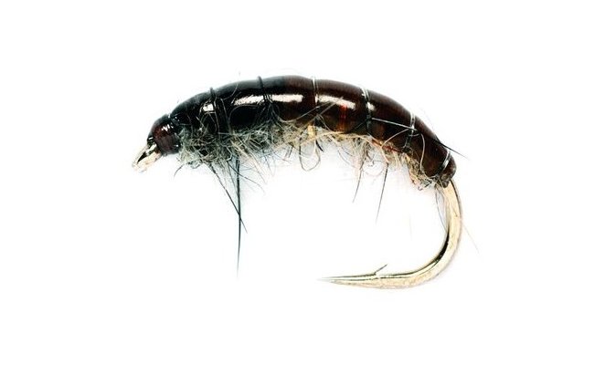 Czech Mate Hare's Ear Czech Mate Hare's Ear, Size 10