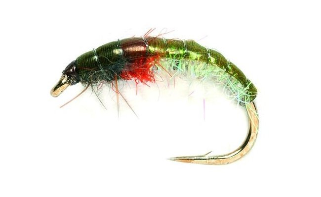 Czech Mate Sparkle & Orange Czech Mate Sparkle & Orange, Size 10