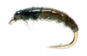 Czech Nymph Hydropsyche (SM) Czech Nymph Hydropsyche (SM), Size 10