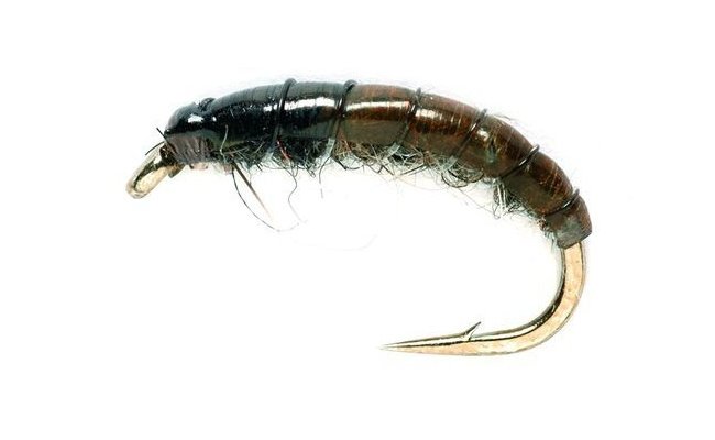 Czech Nymph Hydropsyche (SM) Czech Nymph Hydropsyche (SM), Size 10