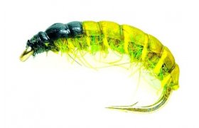 Czech Nymph Olive (SM) Czech Nymph Olive (SM), Size 10