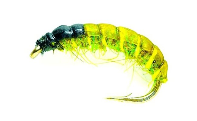Czech Nymph Olive (SM) Czech Nymph Olive (SM), Size 10