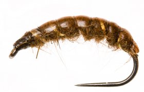 Czech Nymph Original Gold Ribbing Brown Czech Nymph Original Gold Ribbing Brown, Size 10