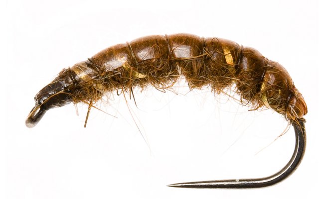 Czech Nymph Original Gold Ribbing Brown Czech Nymph Original Gold Ribbing Brown, Size 10