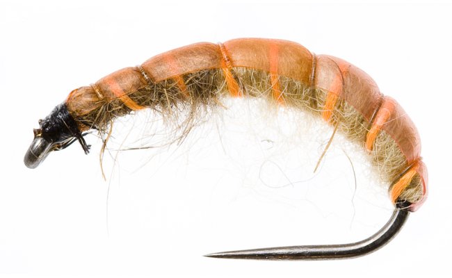 Czech Nymph Slim Fluo Orange Ribbing Czech Nymph Slim Fluo Orange Ribbing, Size 10