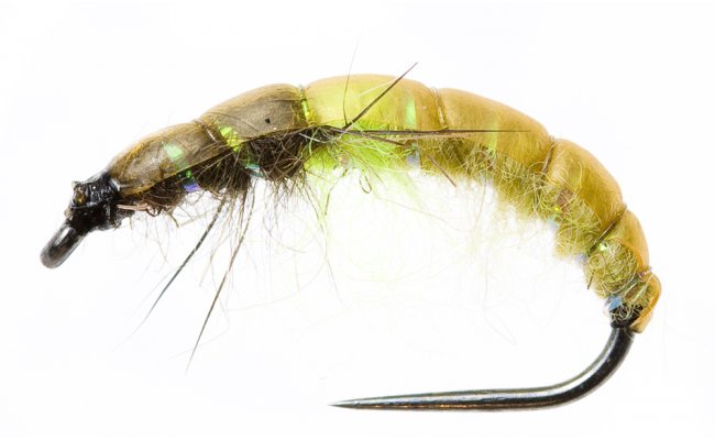 Czech Nymph Slim Green & Olive Czech Nymph Slim Green & Olive, Size 10