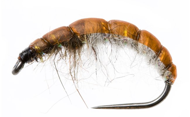 Czech Nymph Slim Hydropsyche Czech Nymph Slim Hydropsyche, Size 10