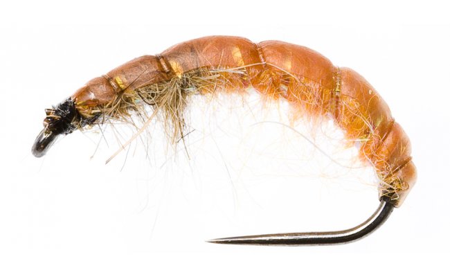 Czech Nymph Slim Light Brown & Orange Czech Nymph Slim Light Brown & Orange, Size 10