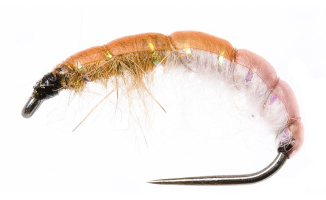 Czech Nymph Slim Light Orange & Pink Czech Nymph Slim Light Orange & Pink, Size 10