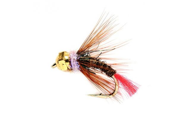 Czech Weapon Czech Weapon, Size 12