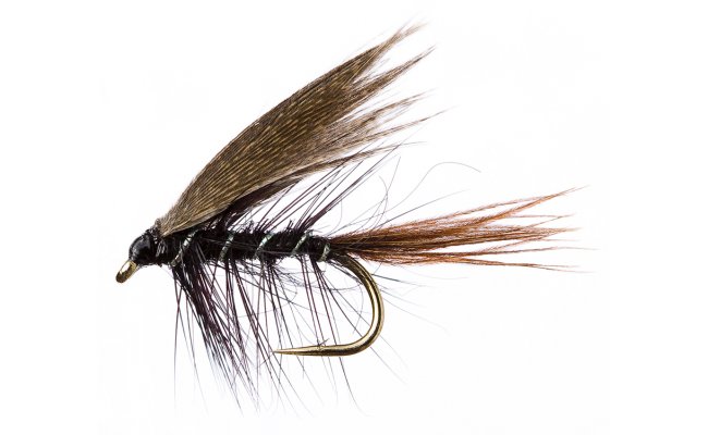 Dabbler Black Dabbler Black, Size 10