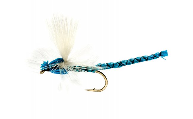 Damsel Blue Damsel Blue, Size 12