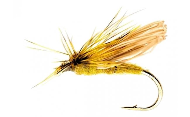 Davy Caddis Olive Davy Caddis Olive, Size 14