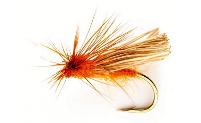 Davy Caddis Orange Davy Caddis Orange, Size 12